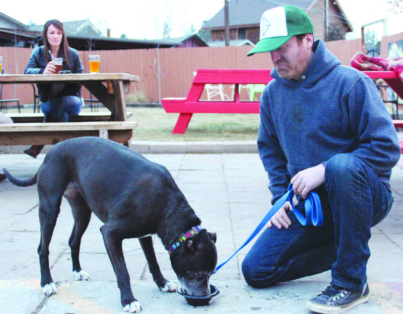 Dawg Grog creator Daniel Keeton watches his muse, Lola Jane, quench her thirst at Riverside Market's first ever "Doggie Happy Hour." Photo by Anna Quesenberry The Broadside