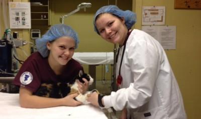 Ashley McClure, Bridget Cunningham, and Sara Dubler practicing in the critical care/emergency nursing lab for the Animal Nursing IV class. Photo submitted by Beth Palmer.