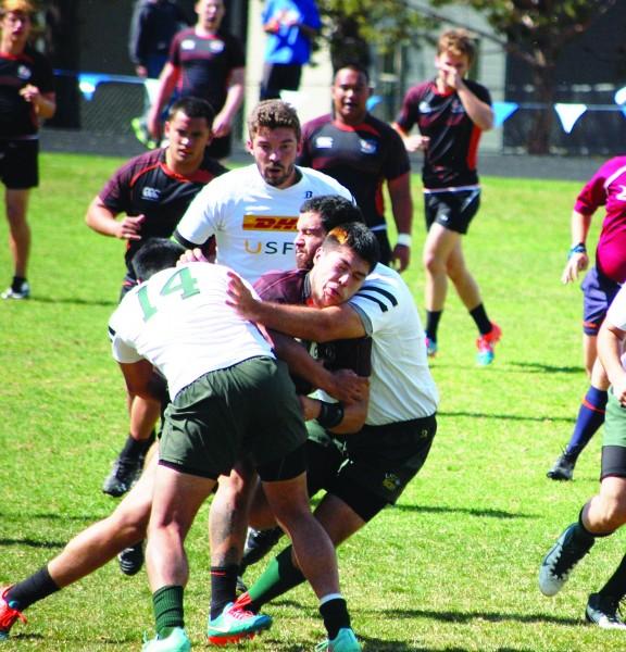 Bobcats: Honor still stands amidst rugby team loss