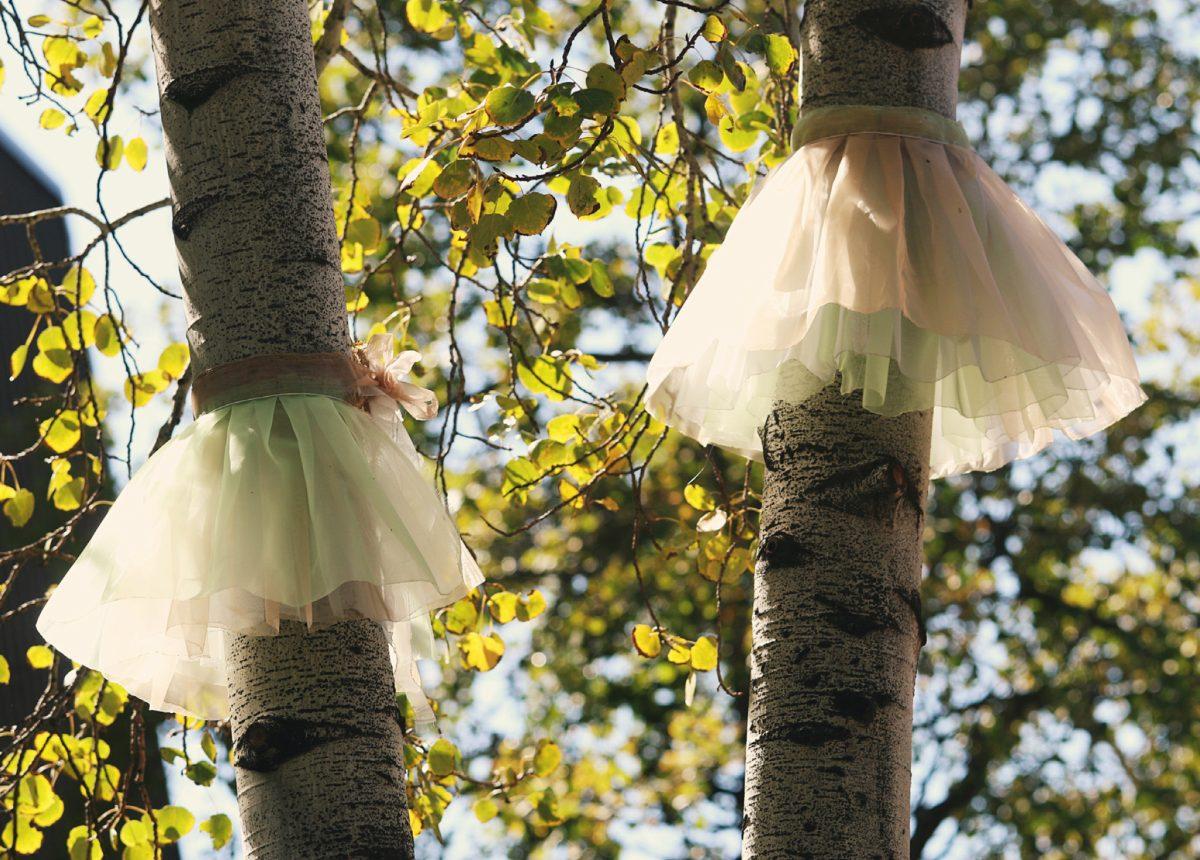 Two of many trees that were decorated with tutus around COCC’s upper campus. Lessick
wanted to emphasize the various kinds of trees around the campus arboretum,
“the tutus are a manifestation of that dance.”