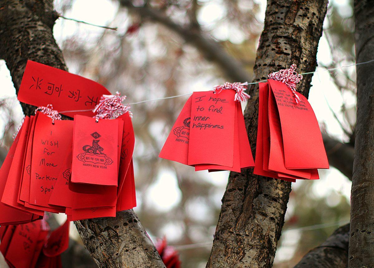 (Photo by Katya Agatucci) The wish tree located outside of the Ochoco Building. Students and staff wrote a wish that they have for the new year and tied in onto the tree for display.
