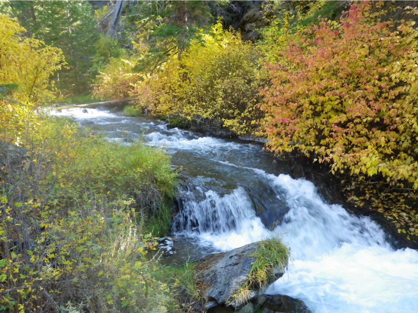 Photos: All-season hikes near Bend to explore