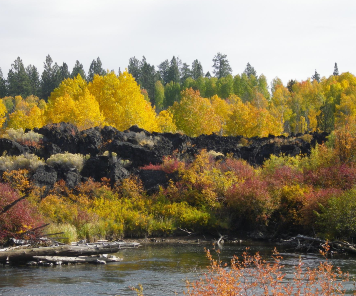 The Deschutes River Trail is a 9 mile trail open year-round.  This trail is open for both hikers and bikers. (Carl Swanson/For The Broadside) 