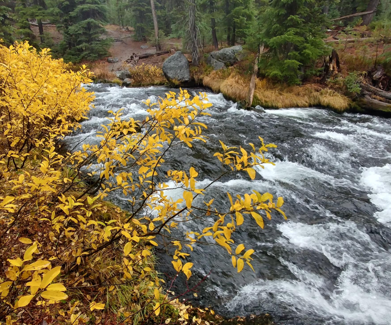 Photos: All-season hikes near Bend to explore