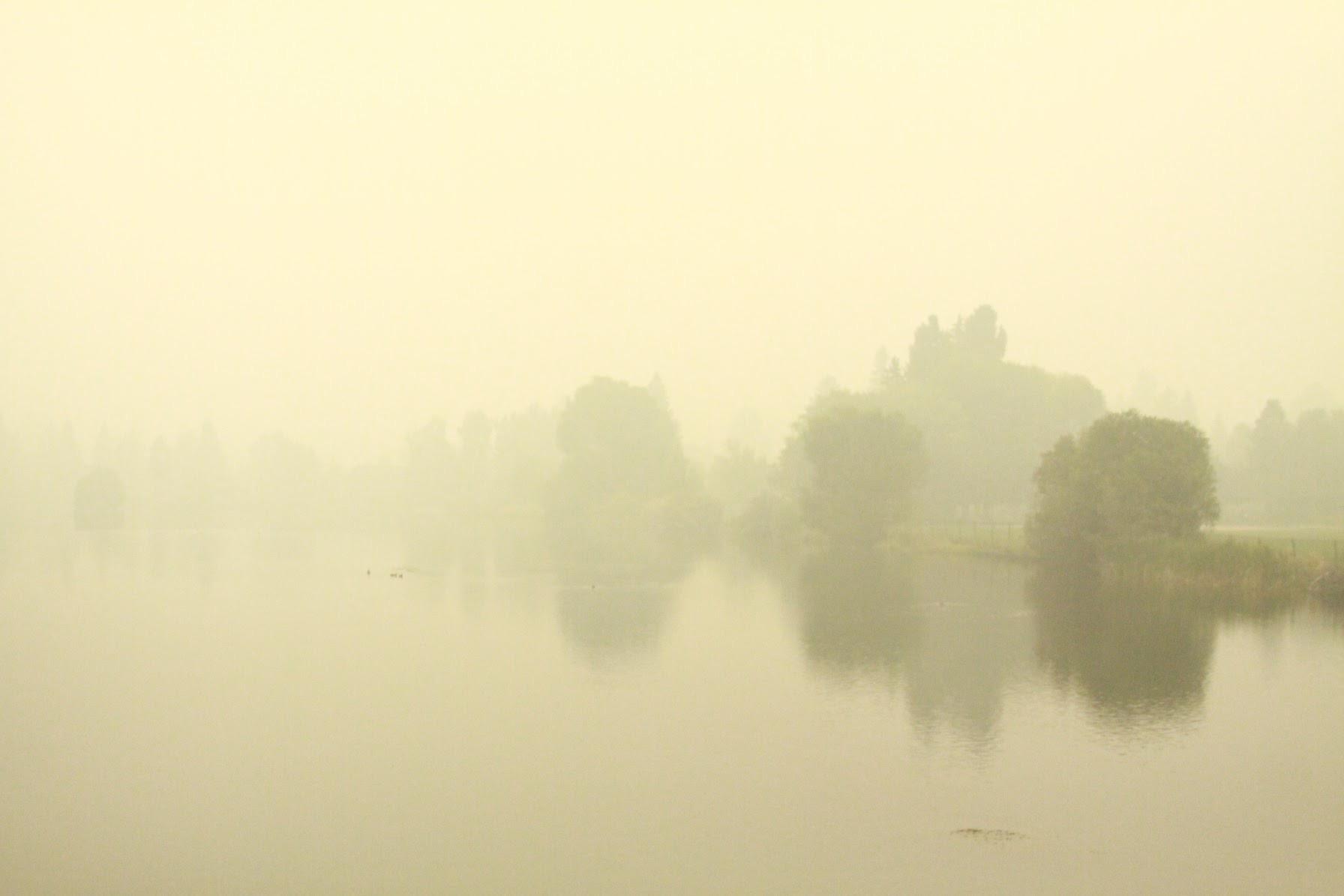 Bend in Smoke – Photo Gallery