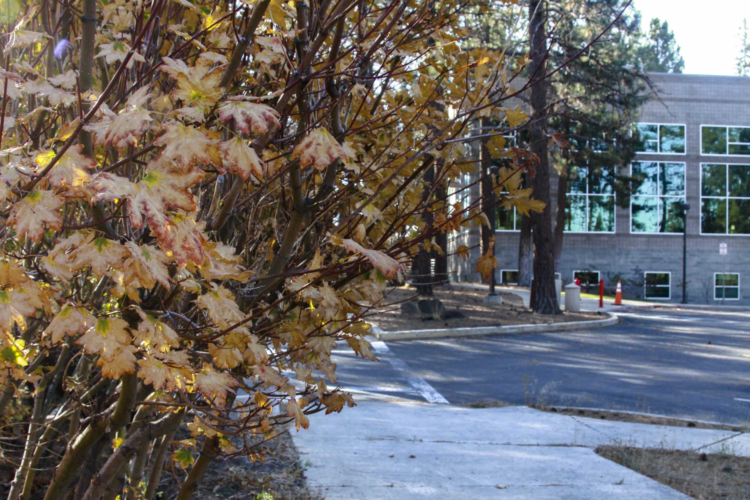 Fall at the COCC Campus – Photo Gallery