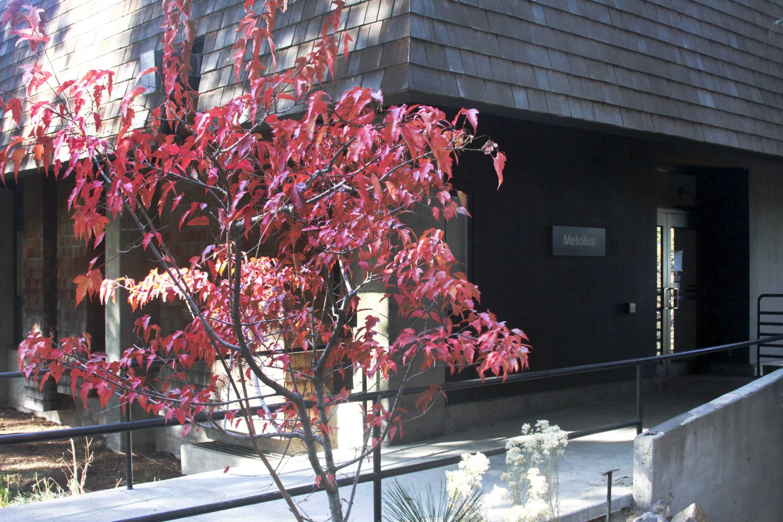 Fall at the COCC Campus – Photo Gallery