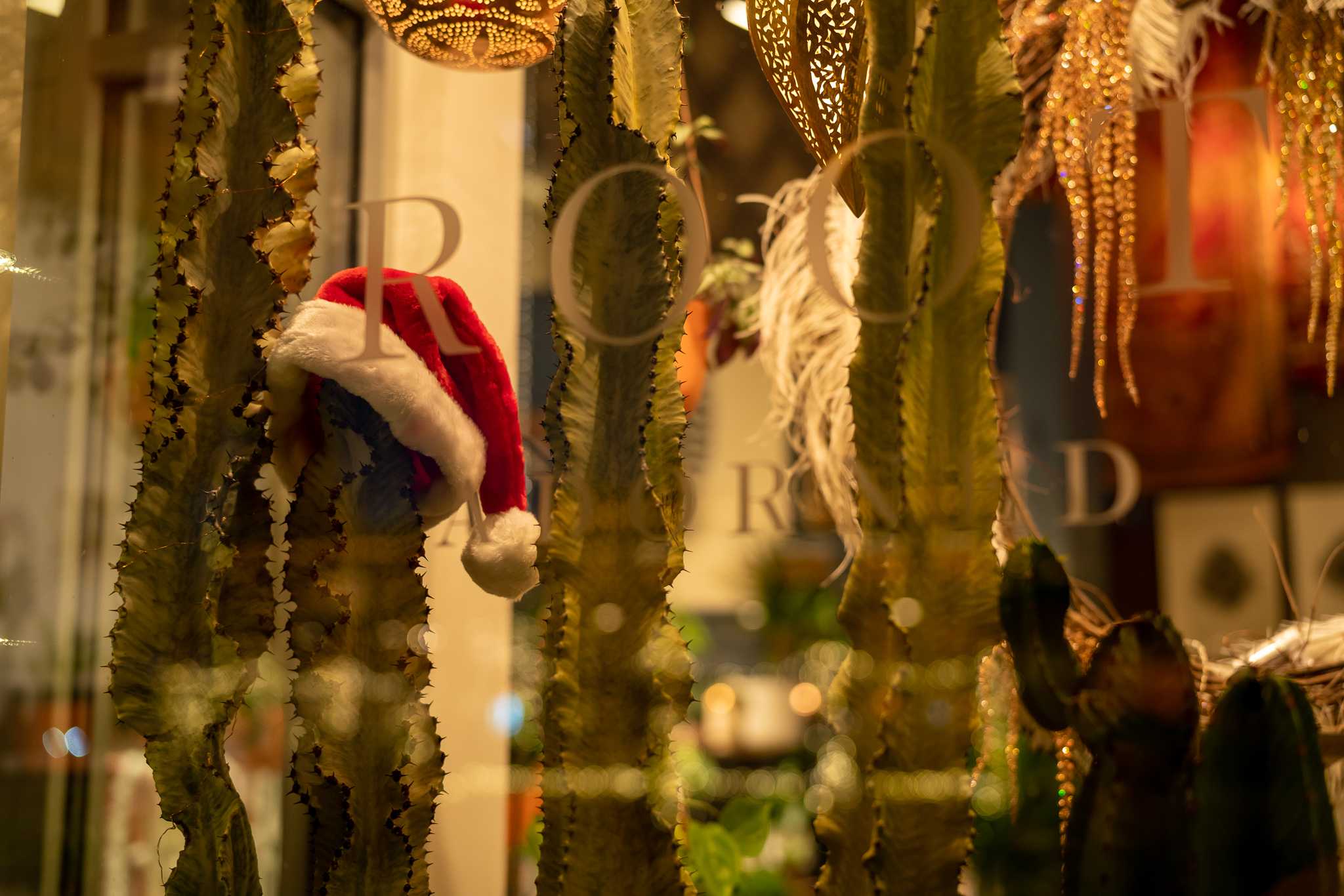 Northwest Crossing's Tour of Lights - Photo Gallery