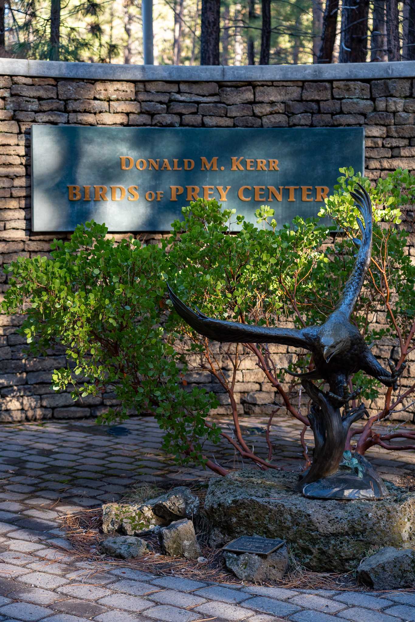 Nostalgia and bronze sculpture bingo: The High Desert Museum in 2021 - Photo Gallery