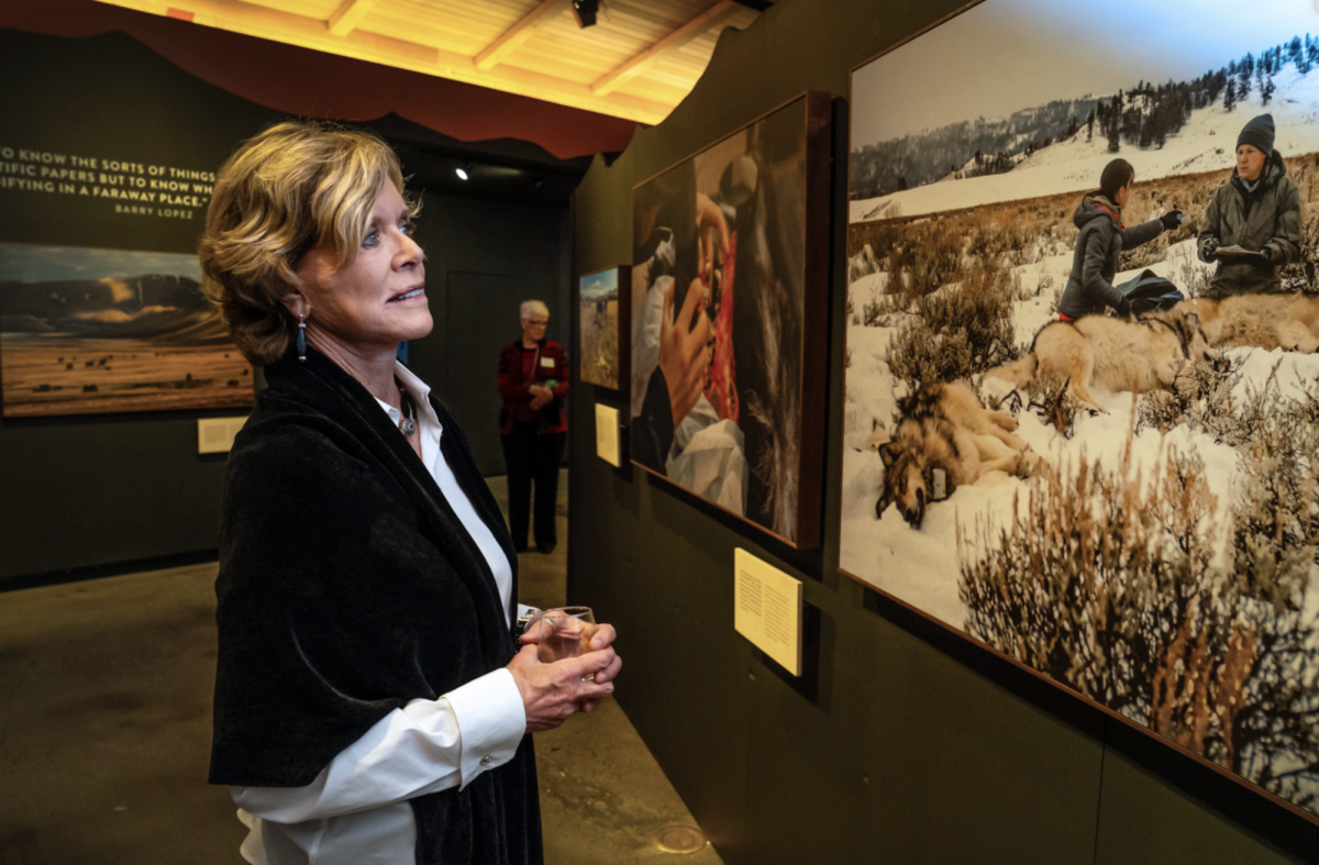 Heidi Hagemier, Director of Communications and Visitor Experience at High Desert Museum, looks at one of the museums newer photo exhibits. Photo captured at High Desert Museum 