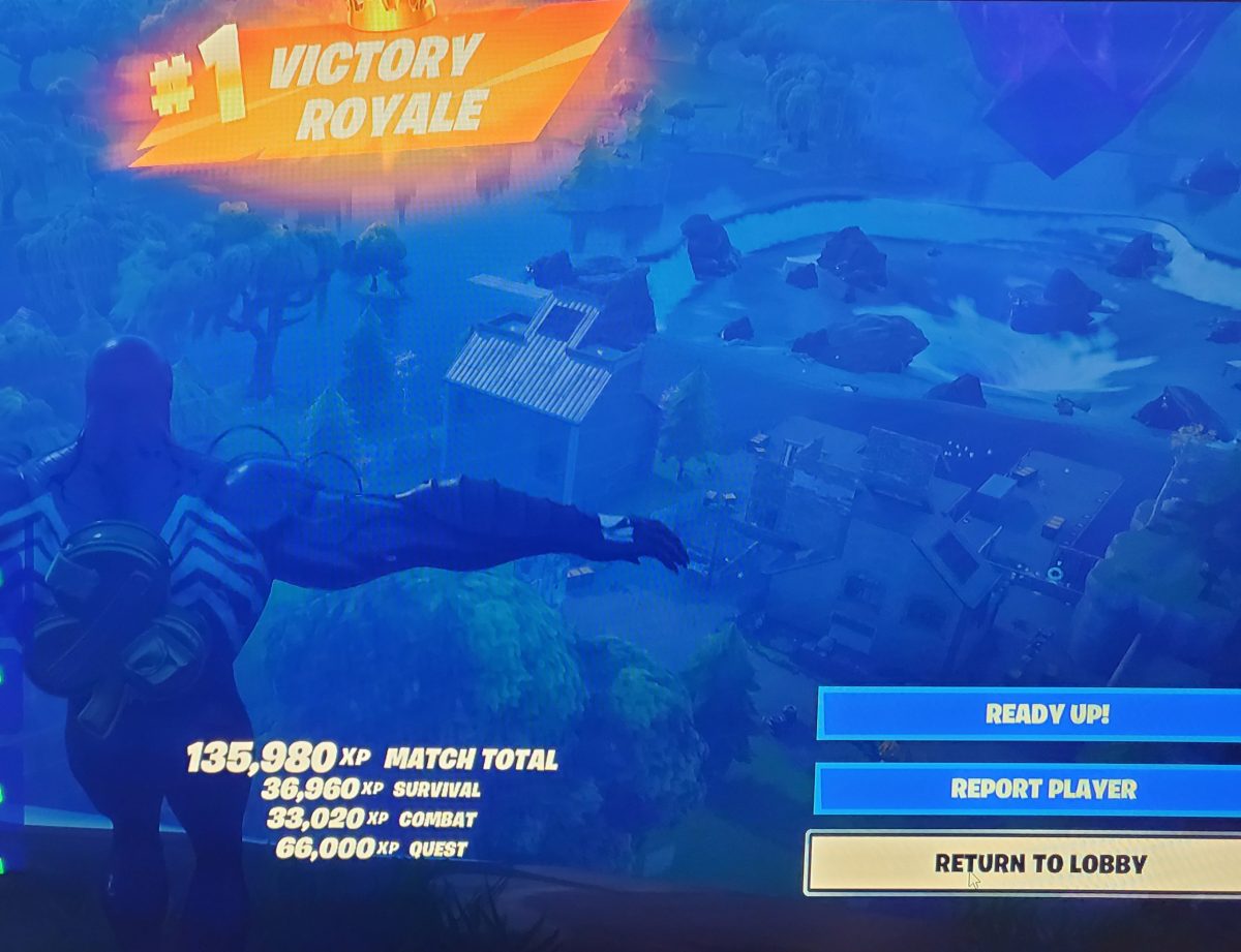 Fortnite Victory Screenshot