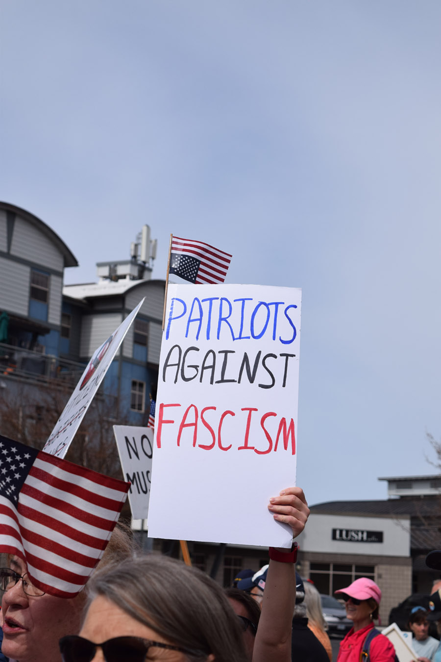 Hands off our democracy
