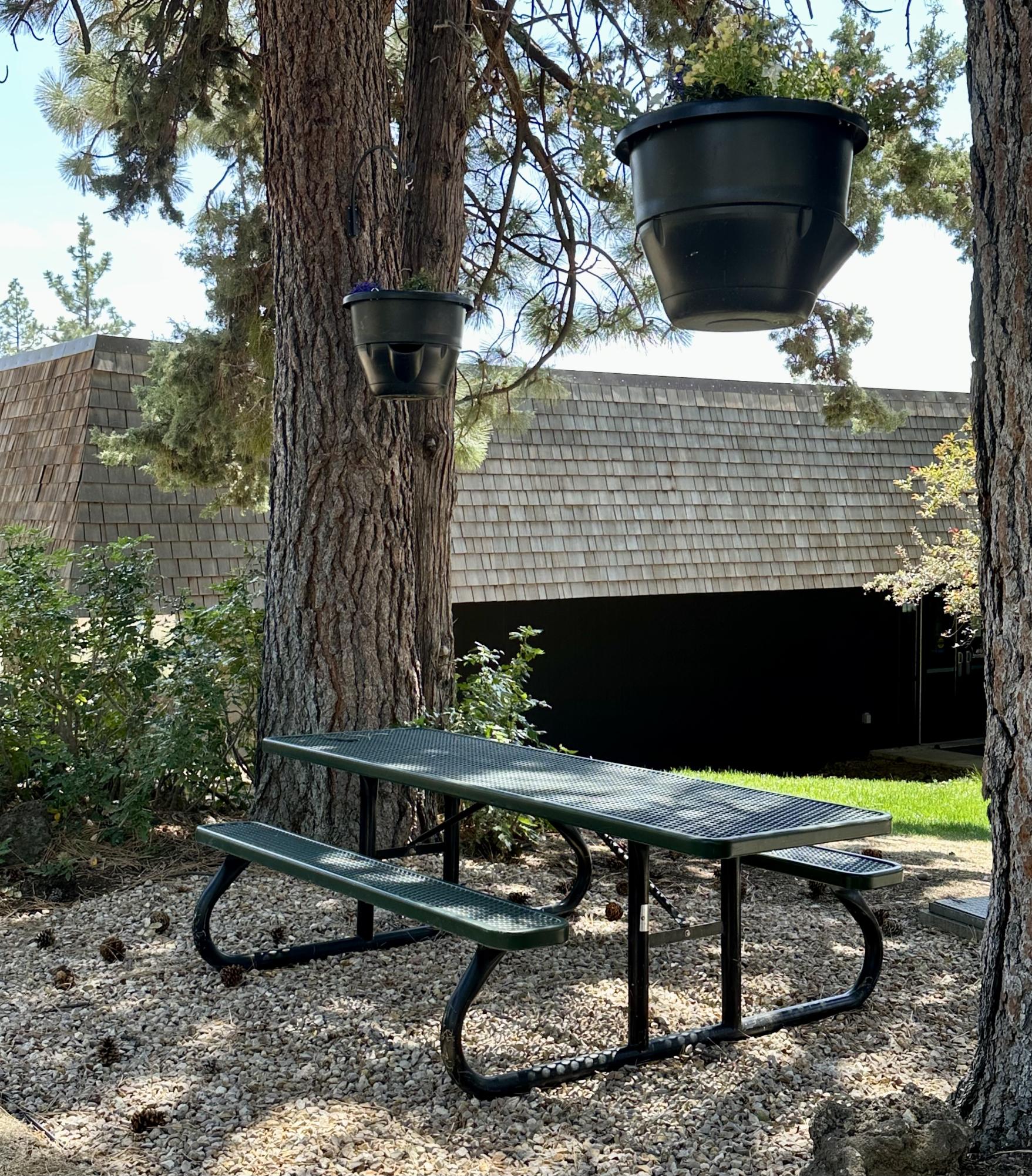 Relax at COCCS chillcat zones