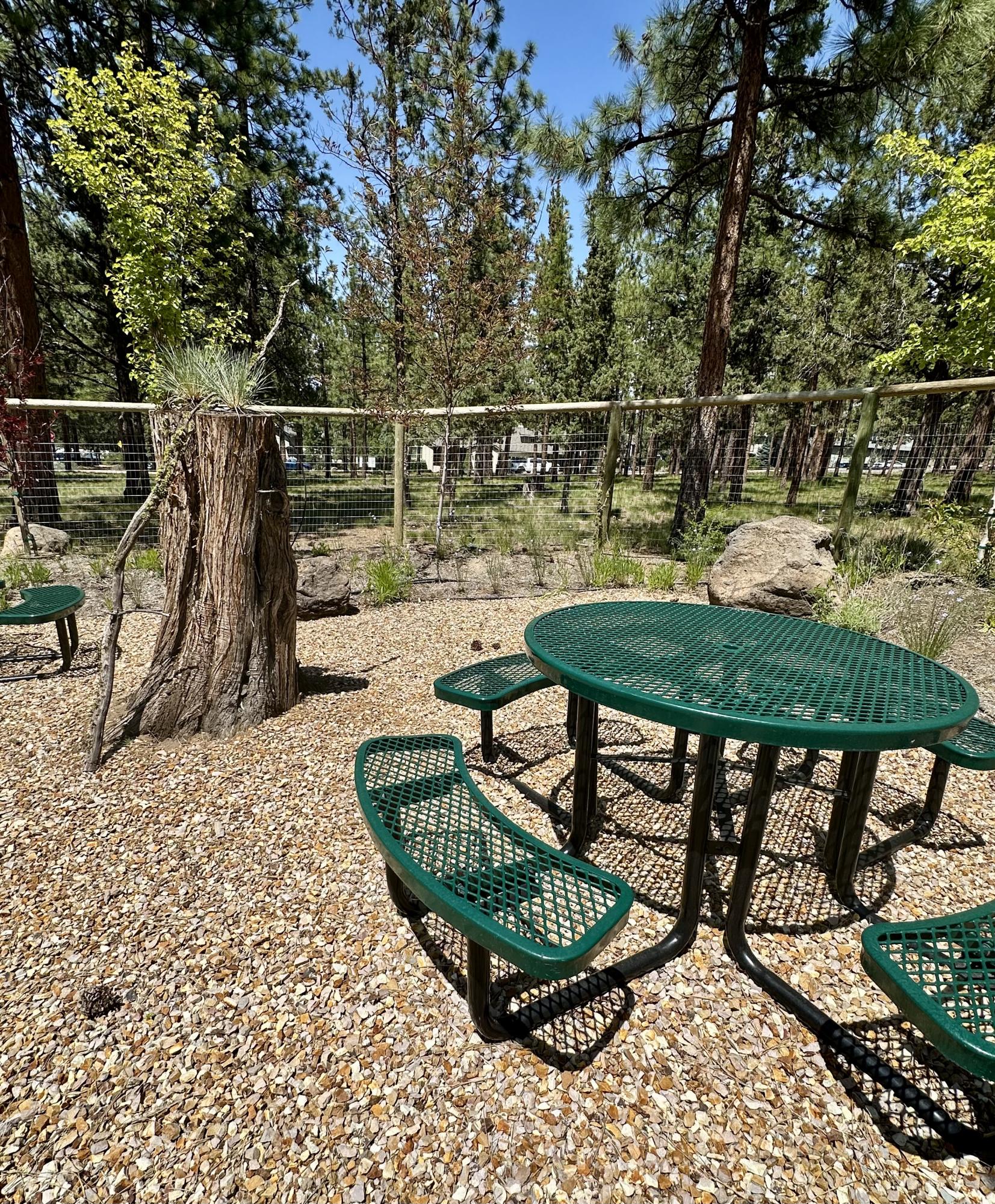 Relax at COCCS chillcat zones