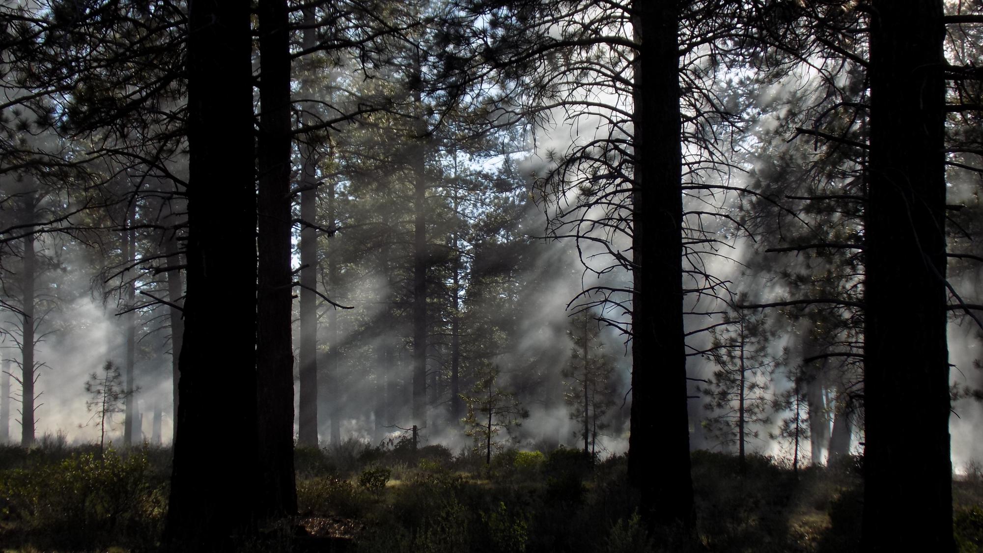 From campfires to wild fires
