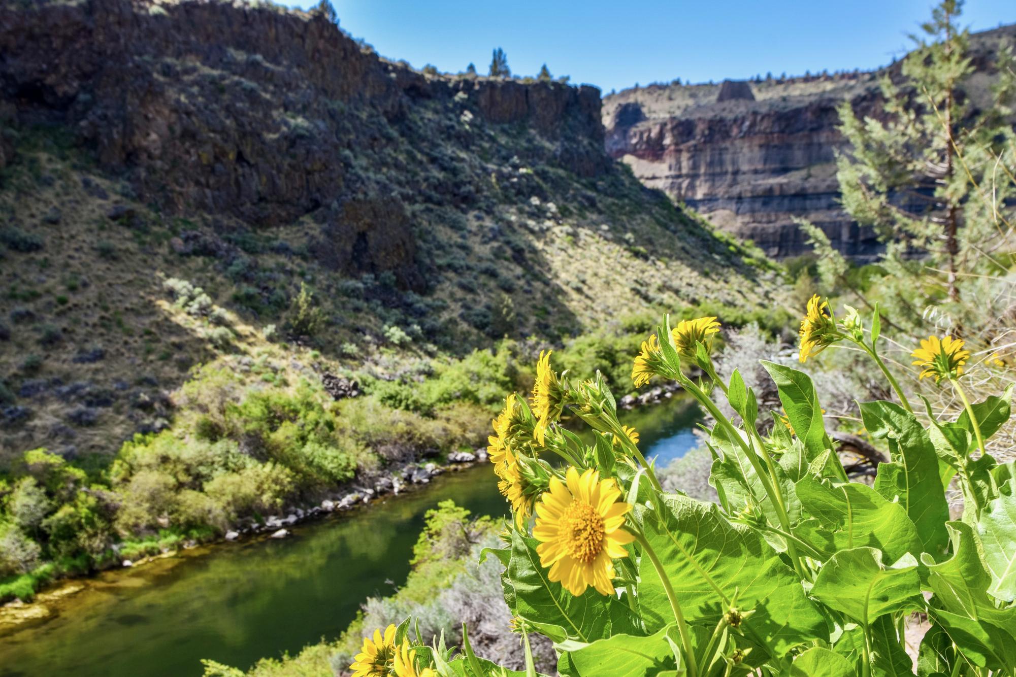 A weekend in Central Oregon