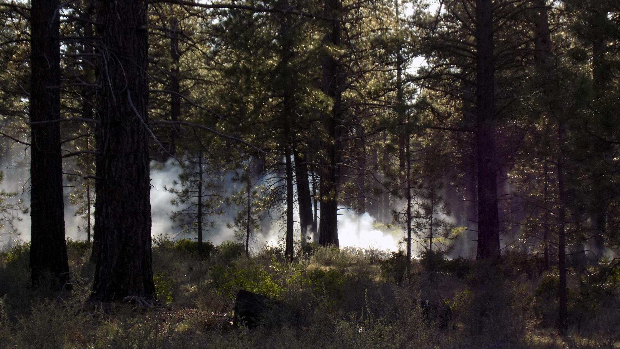 From campfires to wild fires