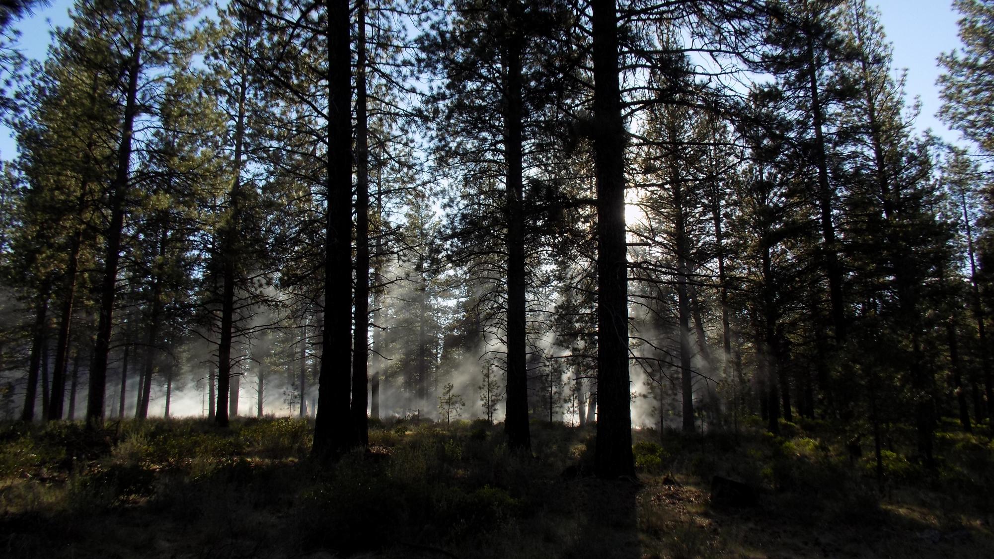 From campfires to wild fires