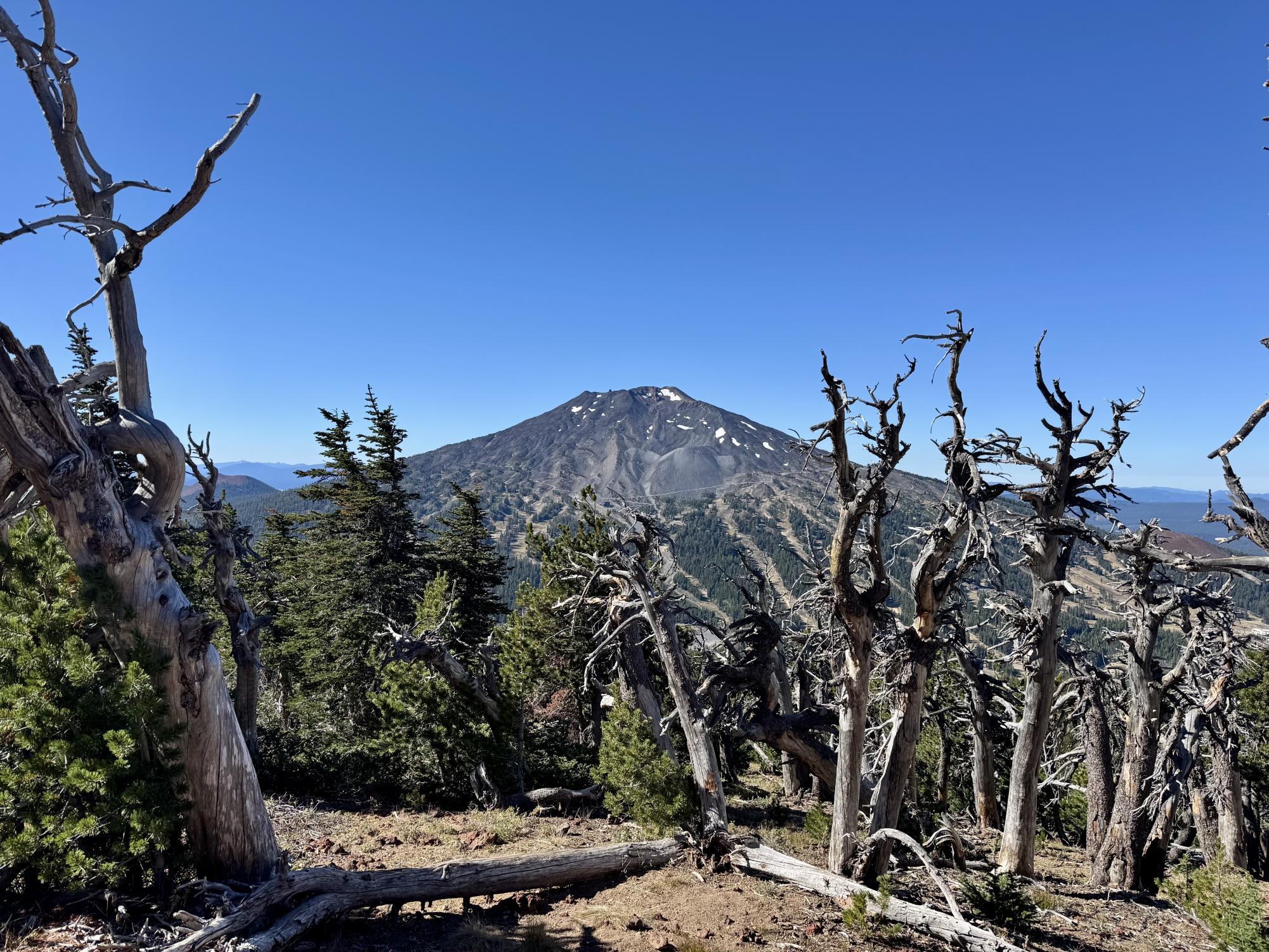 A scenic day hike at Tumalo Mountain