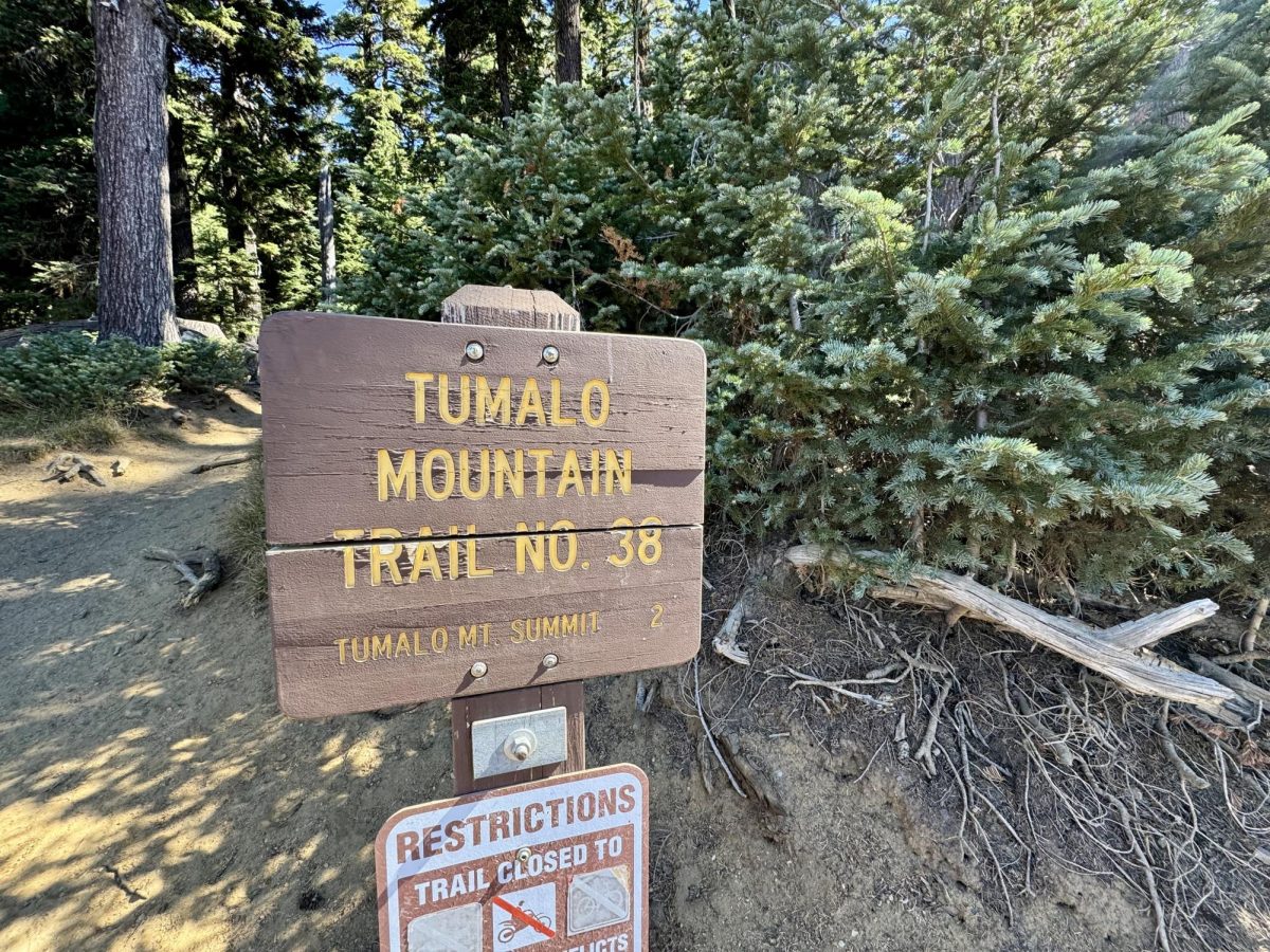 Start of the Tumalo Mountain trailhead.