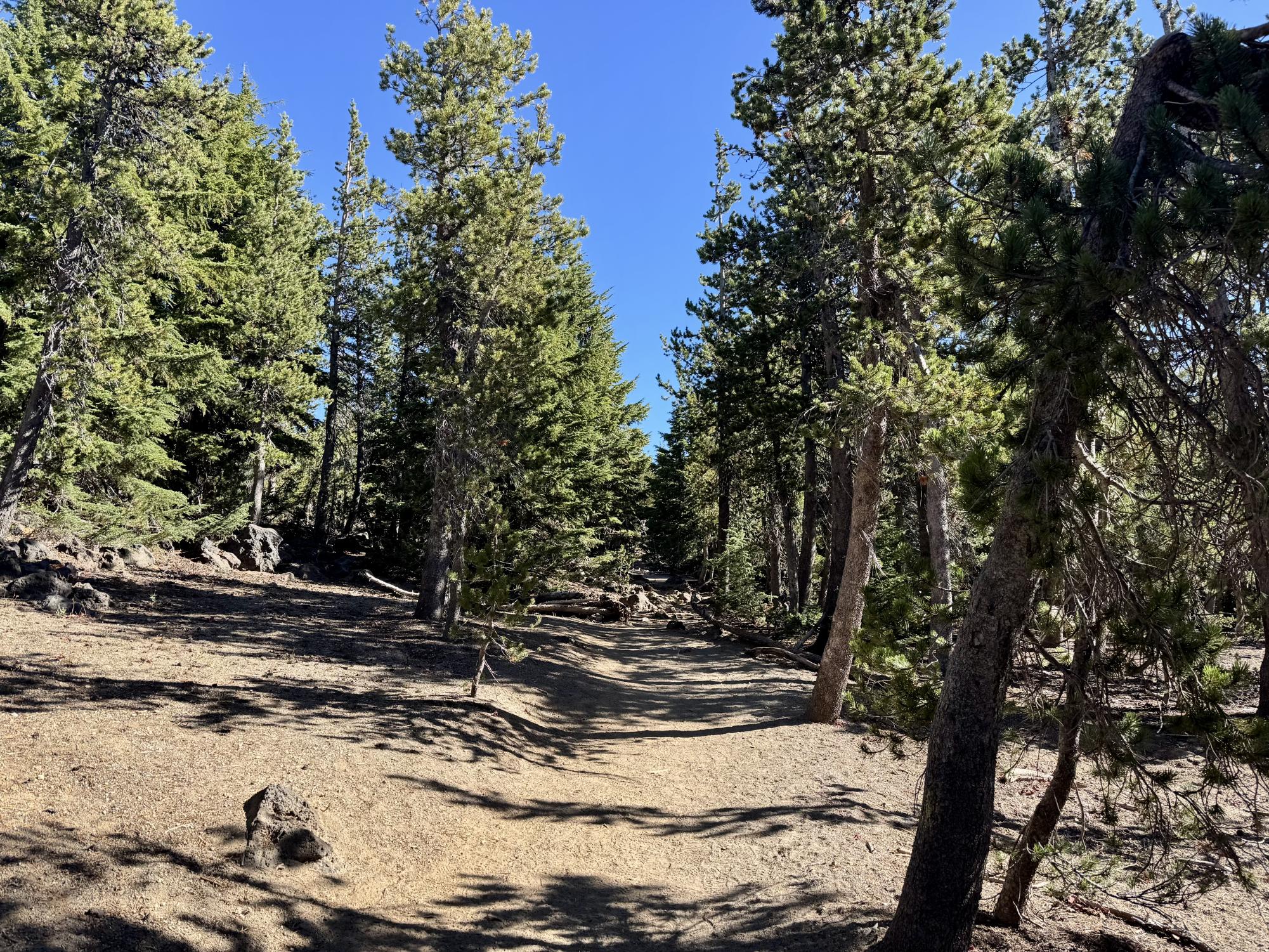 A scenic day hike at Tumalo Mountain