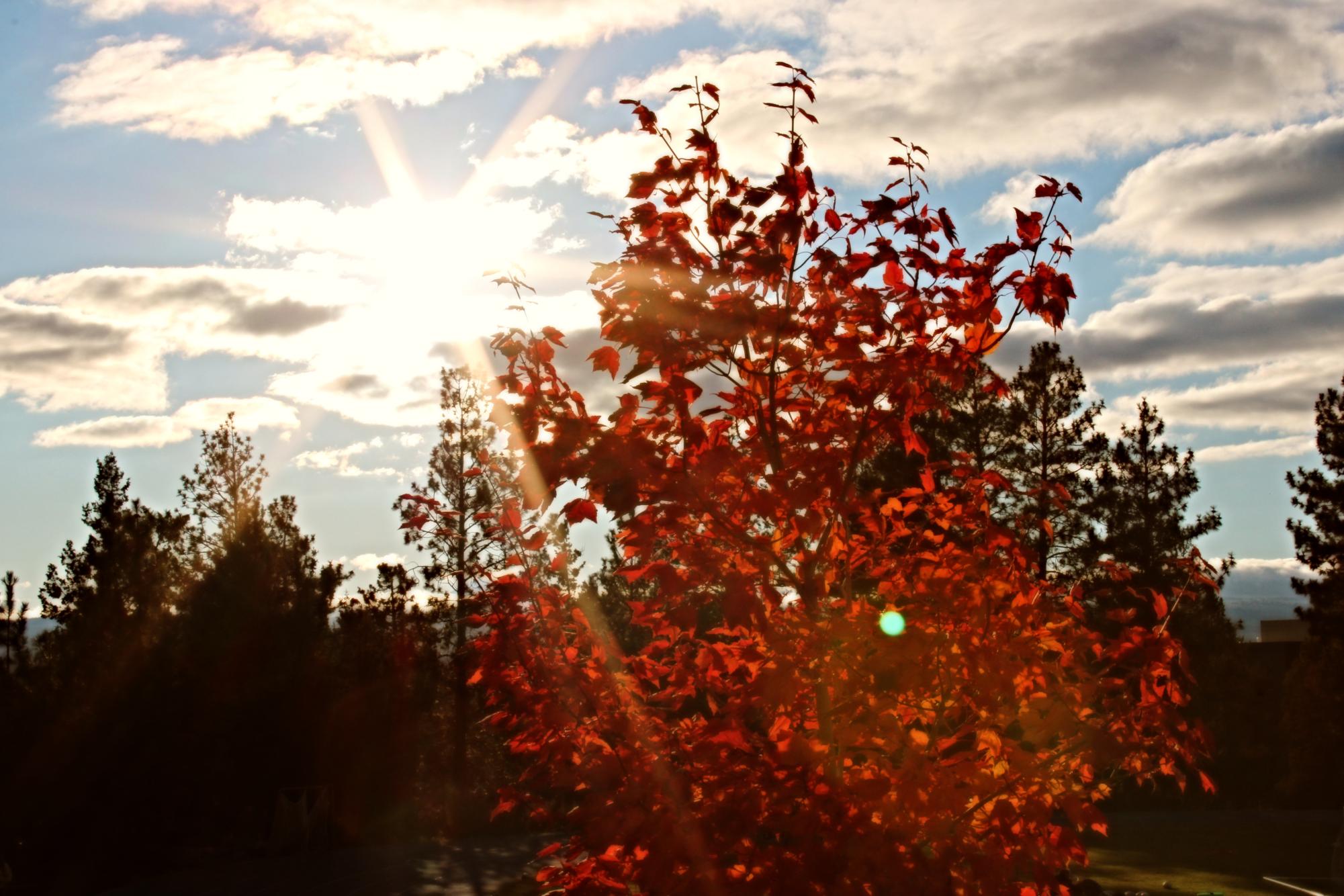Feel your soul through fall