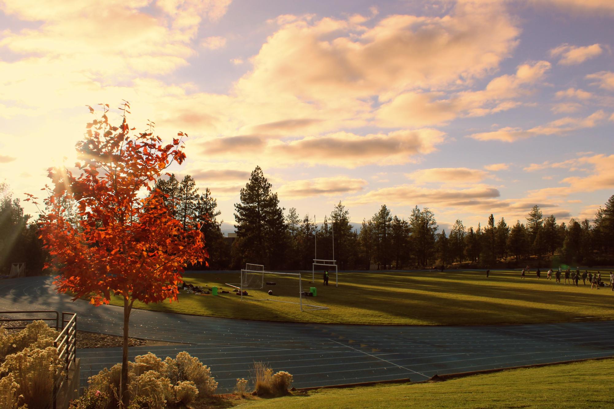 Feel your soul through fall
