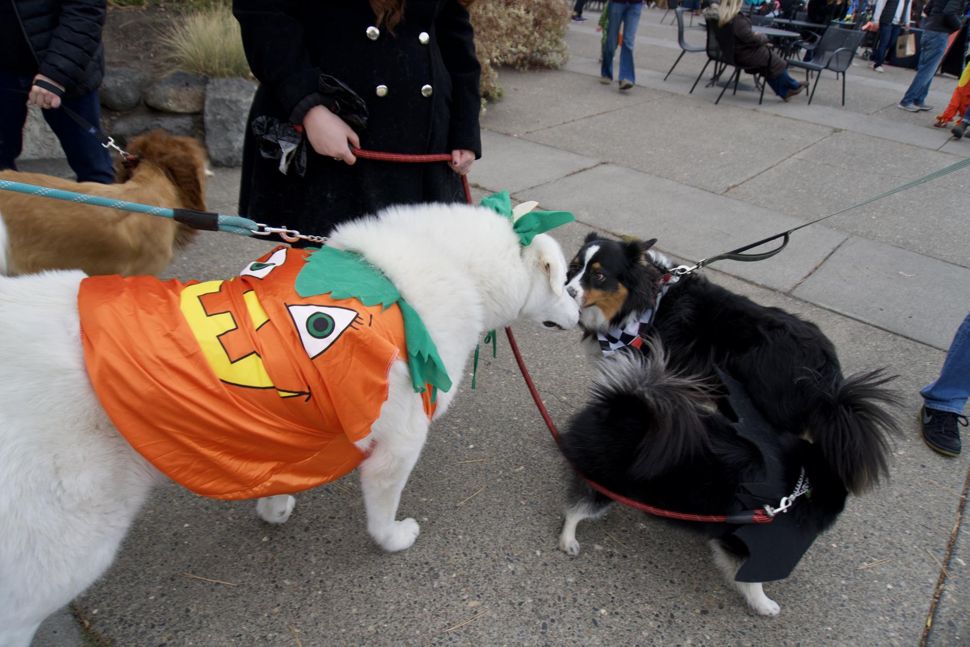 Halloween at The Old Mill