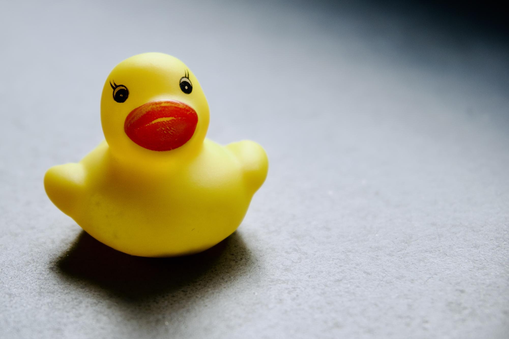 Toy duck brings positivity to Bend community