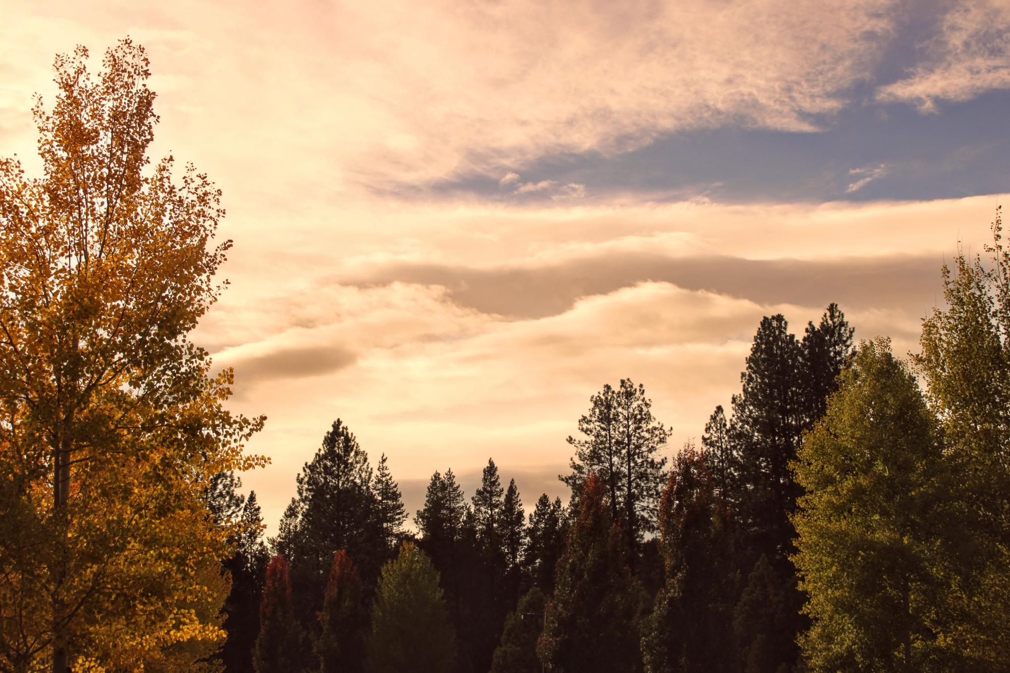 Feel your soul through fall