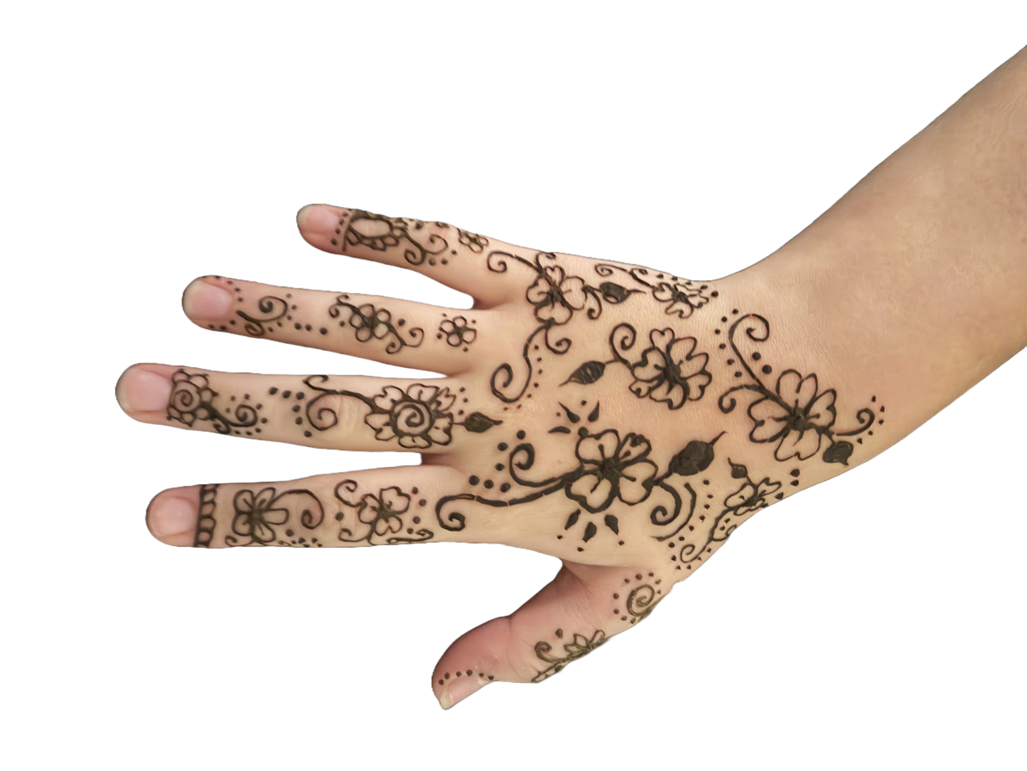 The art of Henna