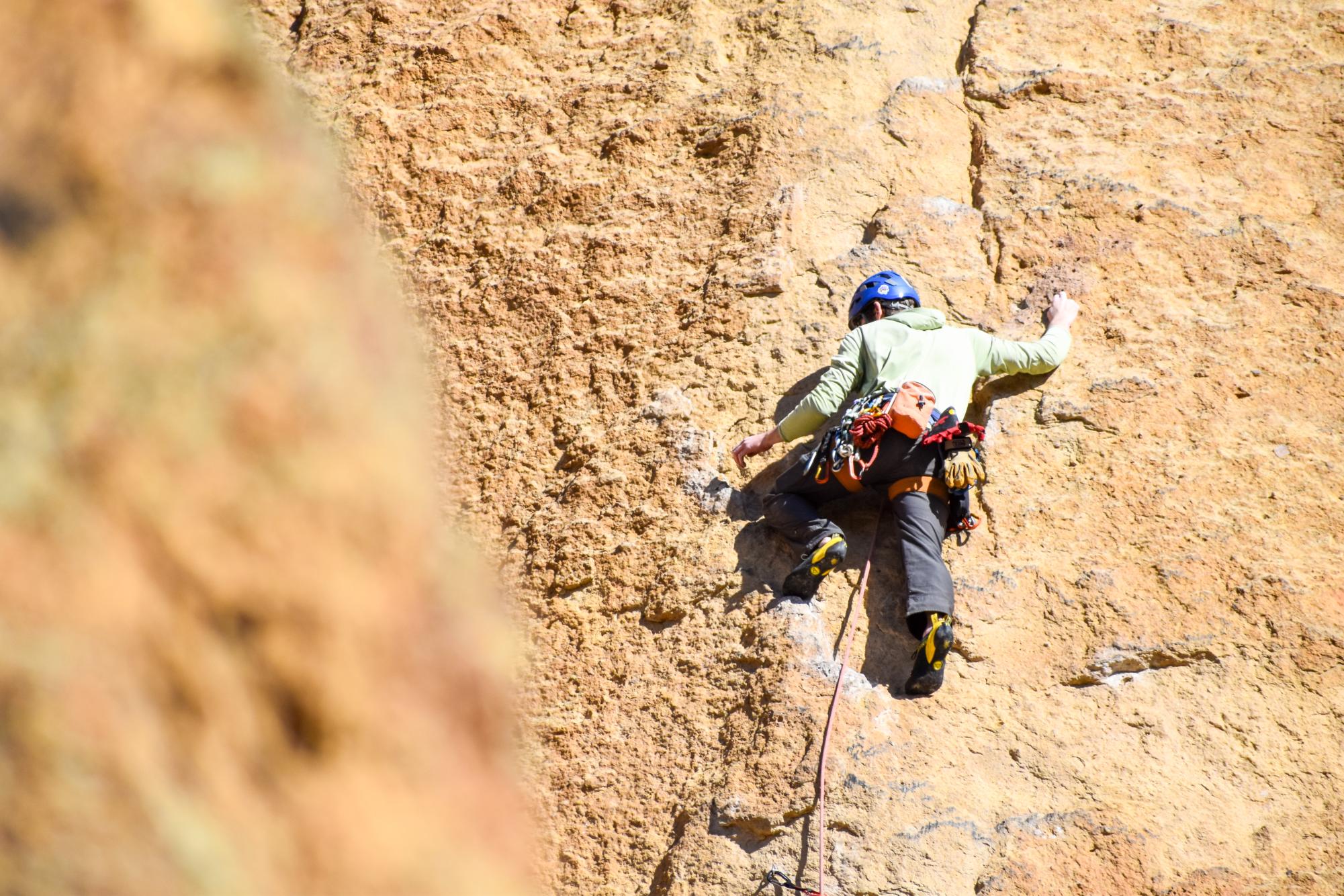 Spring activity guide