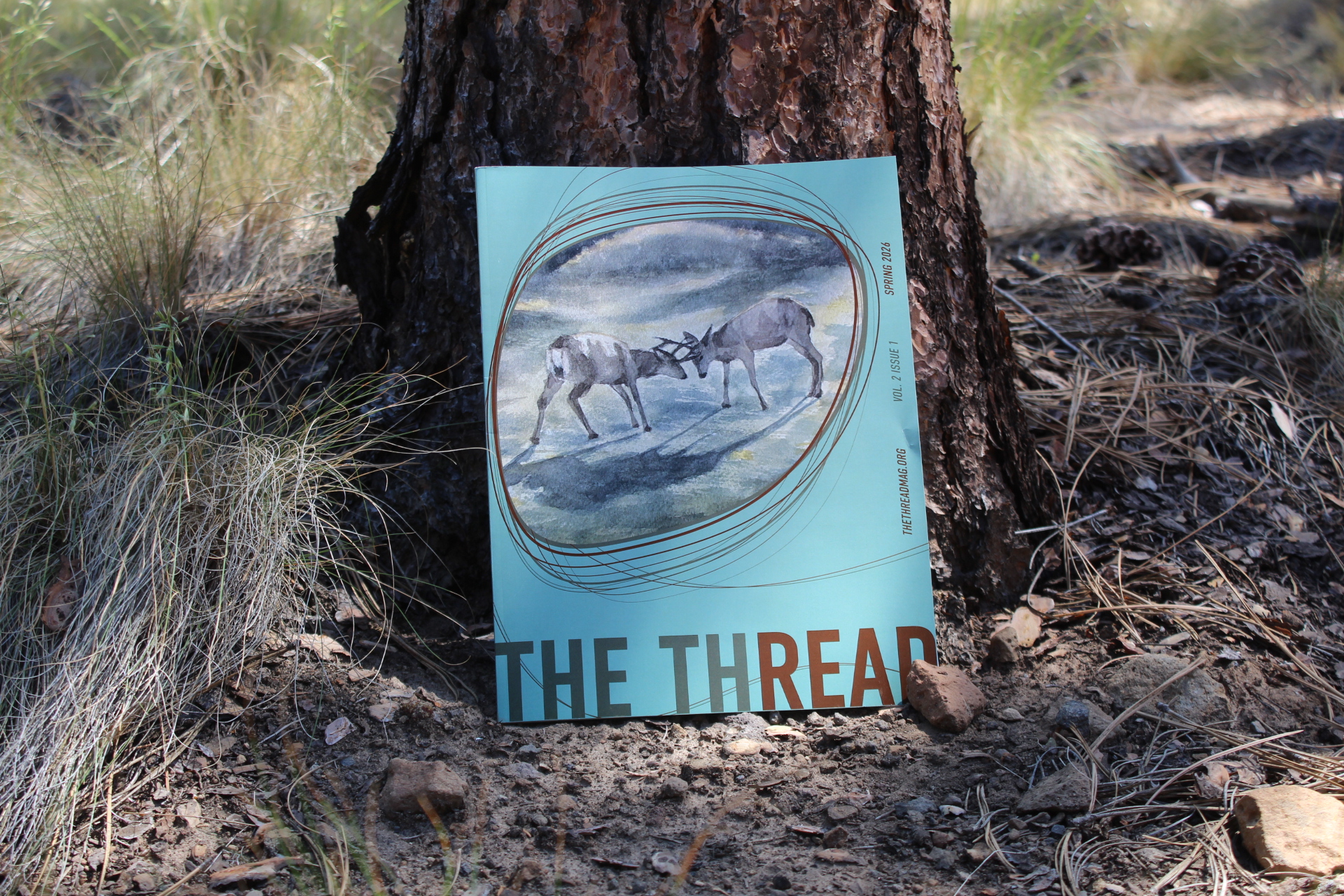 COCC’s new literary magazine releases its second edition